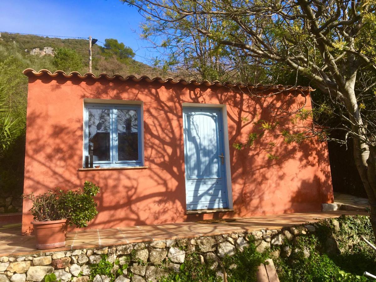 Magnifique Studio Dans Maisonnette Tourrettes-sur-Loup Exterior foto